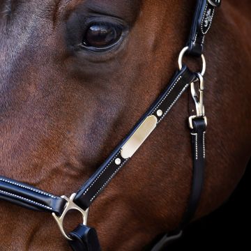 Headcollar HVP-Legacy -  Black