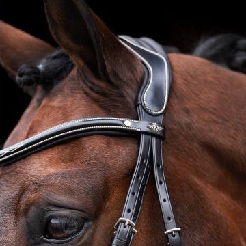 Bridle HVP-Legacy -  Black