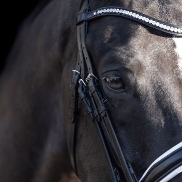 Weymouth bridle HVP-Legacy deluxe -  Black-White
