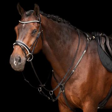 Martingale HVP-Legacy -  Black