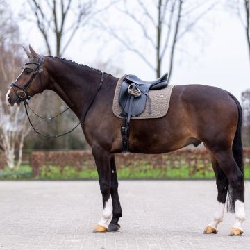 Saddlepad HVP-Essential dressage -  Stone