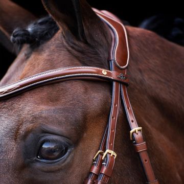 Bridle HVP-Legacy -  Brown