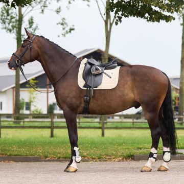 Saddlepad HVP-Essential dressage -  Cashmere