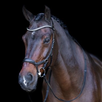 Bridle HVP-Legacy Anatomical deluxe -  Black