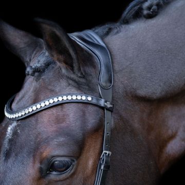 Bridle HVP-Legacy Anatomical deluxe -  Black