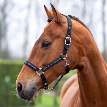 Headcollar HVP-Nena -  Black