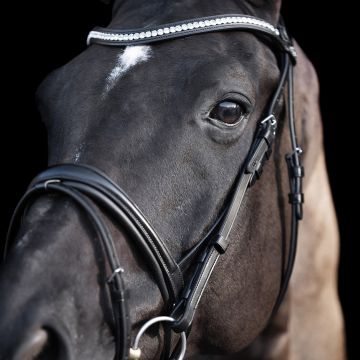 Bridle HVP-Legacy deluxe -  Black