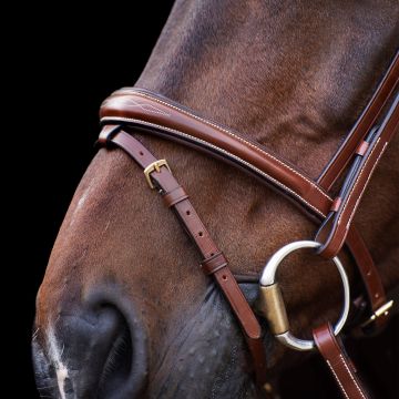 Bridle HVP-Legacy -  Brown