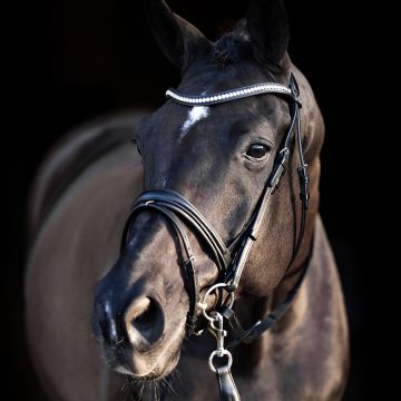 Bridle HVP-Legacy deluxe -  Black