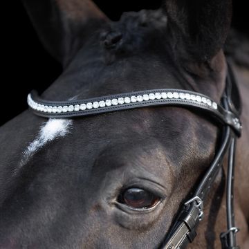 Bridle HVP-Legacy deluxe -  Black