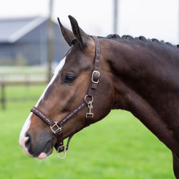 Headcollar HVP-Nena -  Brown
