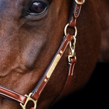 Headcollar HVP-Legacy -  Brown