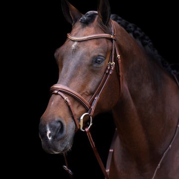 Bridle HVP-Legacy -  Brown