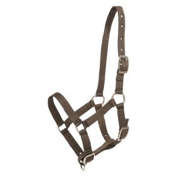 Headcollar foal HVP-Nena -  White 